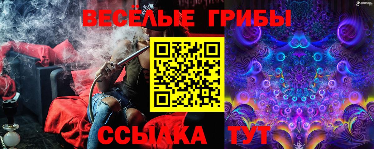 Псилоцибиновые грибы прущие грибы Кимры